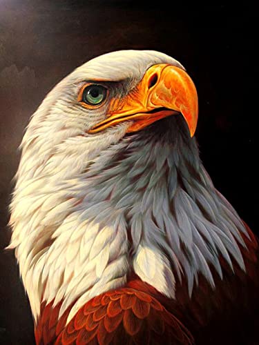Puzzle für Erwachsene, 2000 Teile, Lernspiel, Herausforderung, Spielzeug, Weißkopfseeadler, Heimdekoration, 70 x 100 cm von AWYHEZ