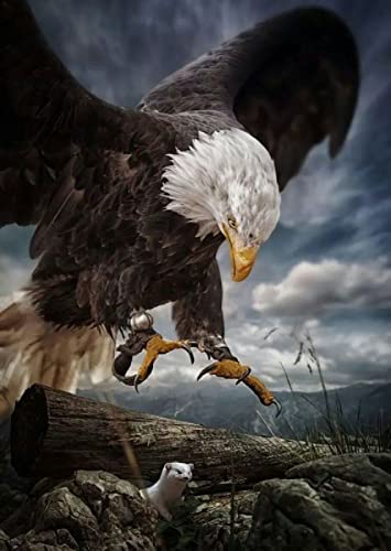 Puzzle für Erwachsene, 2000 Teile, Lernspiel, Herausforderung, Spielzeug, Weißkopfseeadler, Heimdekoration, 70 x 100 cm von AWYHEZ