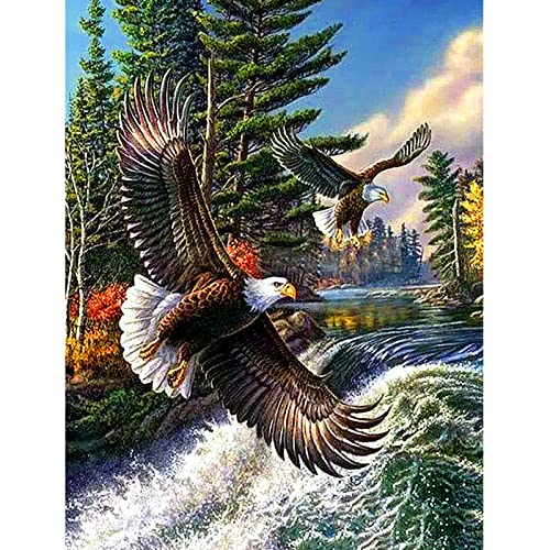 Puzzle für Erwachsene, 2000 Teile, Lernspiel, Herausforderung, Spielzeug, Weißkopfseeadler, Heimdekoration, 70 x 100 cm Puzzle für Erwachsene, 2000 Teile, Lernspiel, Herausforderung, Spielzeug, Weißkopfseeadler, Heimdekoration, 70 x 100 cm von AWYHEZ