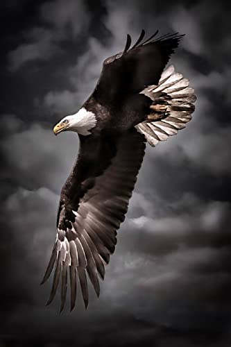 Puzzle für Erwachsene, 2000 Teile, Lernspiel, Herausforderung, Spielzeug, Weißkopfseeadler, Tier, Heimdekoration, 70 x 100 cm Puzzle für Erwachsene, 2000 Teile, Lernspiel, Herausforderung, Spielzeug, Weißkopfseeadler, Tier, Heimdekoration, 70 x 100 cm von AWYHEZ