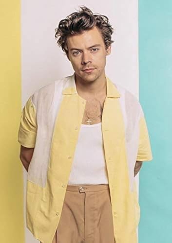 Puzzle für Erwachsene, 2000 Teile, Lernspiel, Herausforderungsspielzeug, HarryStyles, bemalte Heimdekoration, 70 x 100 cm von AWYHEZ