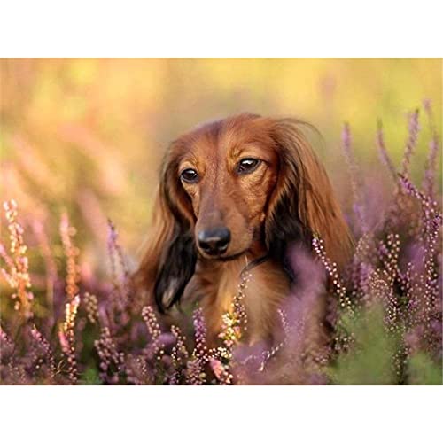 Puzzle für Erwachsene, 2000 Teile, Lernspiel, Herausforderungsspielzeug, Langhaardackel, Heimdekoration, 70 x 100 cm Puzzle für Erwachsene, 2000 Teile, Lernspiel, Herausforderungsspielzeug, Langhaardackel, Heimdekoration, 70 x 100 cm von AWYHEZ
