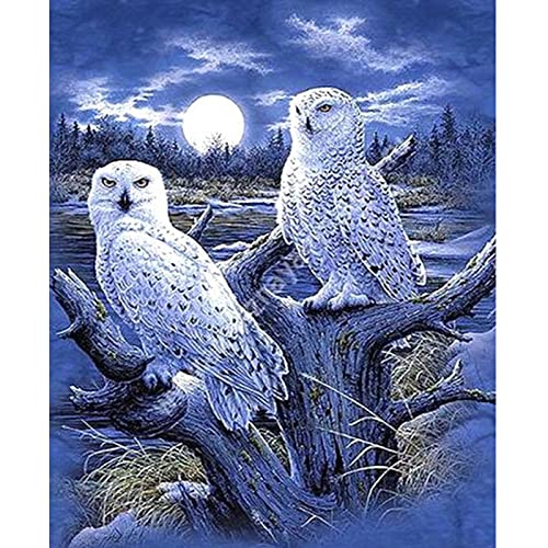 Puzzle für Erwachsene, 2000 Teile, Lernspiel, Herausforderungsspielzeug, Weißkopfseeadler, Nationalschatz, Heimdekoration, 70 x 100 cm Puzzle für Erwachsene, 2000 Teile, Lernspiel, Herausforderungsspielzeug, Weißkopfseeadler, Nationalschatz, Heimdekoration, 70 x 100 cm von AWYHEZ
