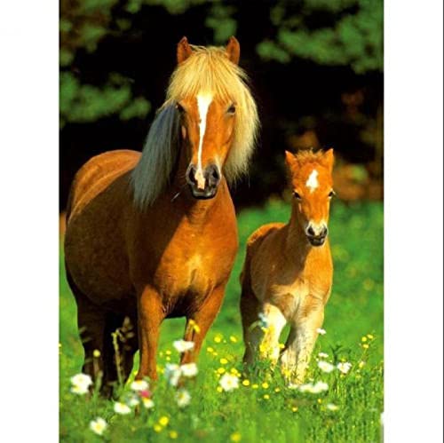 Puzzle für Erwachsene, 2000 Teile, Pferd, Tier, Pferd, Heimdekoration, Lernspielzeug, intellektuelles Spiel, Geschenk, 70 x 100 cm Puzzle für Erwachsene, 2000 Teile, Pferd, Tier, Pferd, Heimdekoration, Lernspielzeug, intellektuelles Spiel, Geschenk, 70 x 100 cm von AWYHEZ