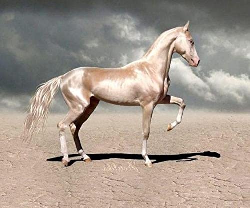 Puzzle für Erwachsene, 2000 Teile, Pferd, Tier, Pferd, Heimdekoration, Lernspielzeug, intellektuelles Spiel, Geschenk, 70 x 100 cm Puzzle für Erwachsene, 2000 Teile, Pferd, Tier, Pferd, Heimdekoration, Lernspielzeug, intellektuelles Spiel, Geschenk, 70 x 100 cm von AWYHEZ