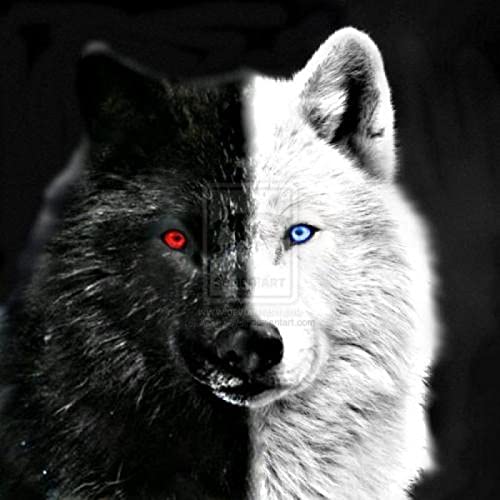 Puzzle für Erwachsene, 2000 Teile, Schneewolf-Set, Kunst, Wanddekoration, Lernspielzeug, intellektuelles Spiel, Geschenk, 70 x 100 cm Puzzle für Erwachsene, 2000 Teile, Schneewolf-Set, Kunst, Wanddekoration, Lernspielzeug, intellektuelles Spiel, Geschenk, 70 x 100 cm von AWYHEZ