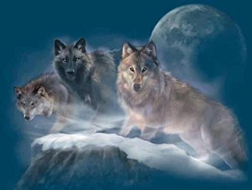 Puzzle für Erwachsene, 2000 Teile, Tierwolf, Dekoration, Heim, Lernspielzeug, intellektuelles Spiel, Geschenk, 70 x 100 cm von AWYHEZ