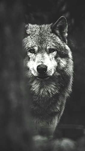 Puzzle für Erwachsene, 2000 Teile, Wolf, Tier, Familie, Heimdekoration, Lernspielzeug, Intelligenzspiel, Geschenk, 70 x 100 cm von AWYHEZ