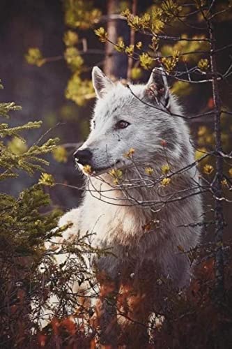 Puzzle für Erwachsene, 2000 Teile, Wolf, Tier, Familie, Heimdekoration, Lernspielzeug, Intelligenzspiel, Geschenk, 70 x 100 cm Puzzle für Erwachsene, 2000 Teile, Wolf, Tier, Familie, Heimdekoration, Lernspielzeug, Intelligenzspiel, Geschenk, 70 x 100 cm von AWYHEZ