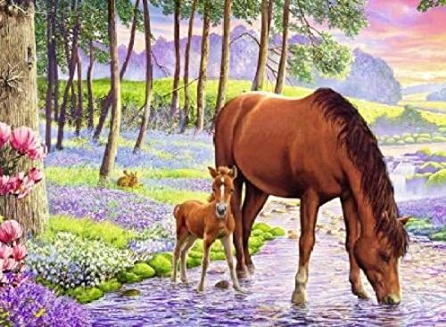Puzzle für Erwachsene 1000 Teile Pferd Tier Handwerk Lernspielzeug Intellektuelles Spiel Geschenk 50x70cm von AWYHEZ
