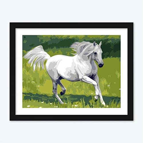 Puzzle für Erwachsene 1000 Teile Pferd Tierdekoration Zuhause Lernspielzeug Intellektuelles Spiel Geschenk 50x70cm von AWYHEZ