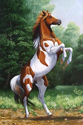 Puzzle für Erwachsene 1000 Teile Pferd Tierdekoration Zuhause Lernspielzeug Intellektuelles Spiel Geschenk 50x70cm von AWYHEZ
