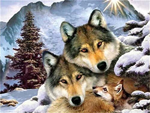 Puzzle für Erwachsene 1000 Teile Wolf Tier Familie Heimdekoration Lernspielzeug Intelligenzspiel Geschenk 50x70cm von AWYHEZ