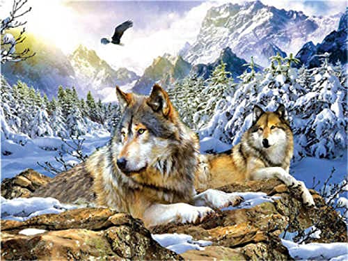 Puzzle für Erwachsene 1000 Teile Wolf Tierhandwerk Lernspielzeug Intellektuelles Spiel Geschenk 50x70cm von AWYHEZ
