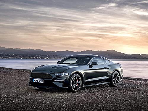 Puzzles für Erwachsene 2000 Teile Mustang Shelby GT Puzzles für Kinder Lernspielzeug Intellektuelles Spiel Geschenk 70x100cm Puzzles für Erwachsene 2000 Teile Mustang Shelby GT Puzzles für Kinder Lernspielzeug Intellektuelles Spiel Geschenk 70x100cm von AWYHEZ