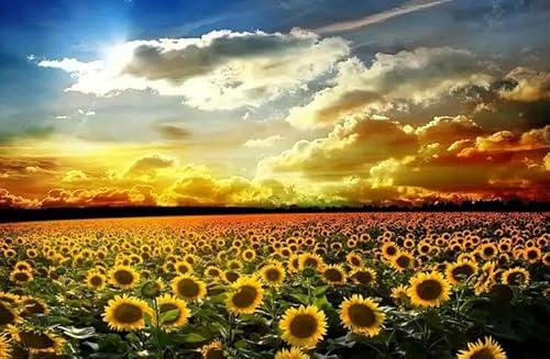 Sonnenblumen-Papierpuzzle 1000 Teile Lernspielzeug für Erwachsene 50 x 70 cm von AWYHEZ