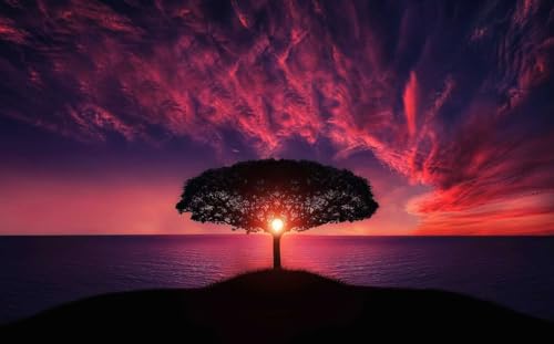 Sonnenuntergang in den Bäumen – 1000-teiliges Papierpuzzle – für Erwachsene, Jugendliche, 50 x 70 cm von AWYHEZ