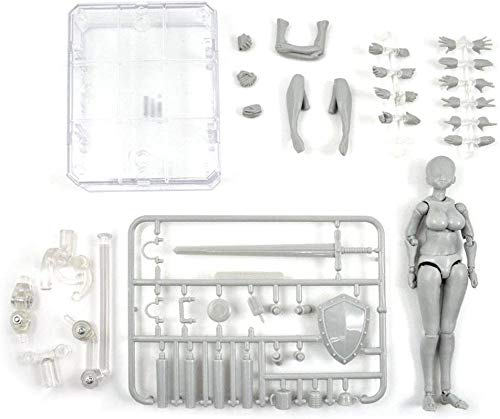 AXXHOTHO Body Kun DX Set männliches und weibliches Actionfiguren-Modell-Set für S H Figur Body Kun Puppe PVC Body-Chan DX Set 2.0, PVC Movebale Actionfiguren-Modell für Geschenke (Female) von AXXHOTHO