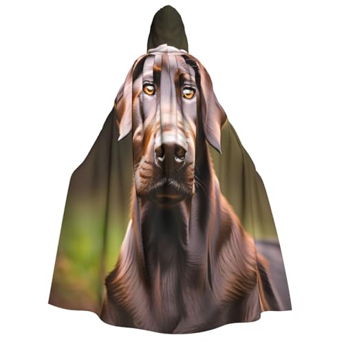 AYYQWE Brauner Labrador Retriever-Druck, Unisex, Erwachsene, Kapuzenumhang, warmer Umhang, Halloween-Kostüm, Cosplay, Karneval-Thema von AYYQWE