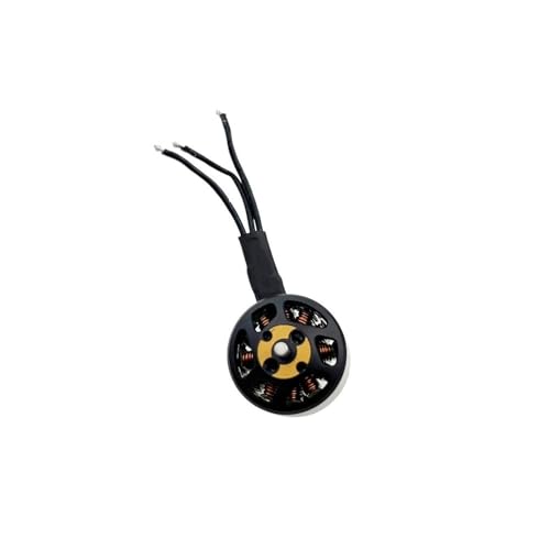 AYrMtH Passend for Avata CW/CCW Drohnenmotoren-Reparaturteile(1 pcs CCW Motor) von AYrMtH