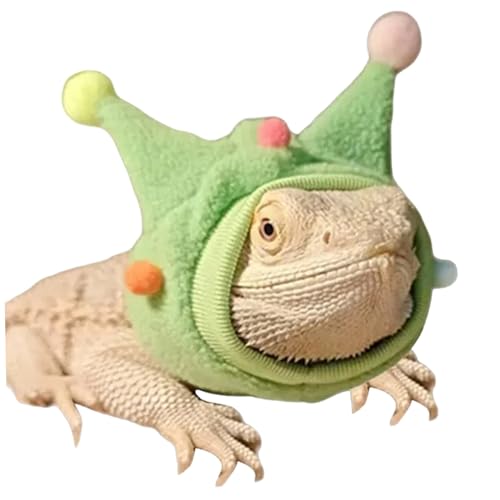 AZIDWERYQ Bärtige Drachenkleidung, kleine Tiere Halloween-Kleidung mit Pom-Pomen für Reptilien-Cosplay-Outfits, grün AZIDWERYQ Bärtige Drachenkleidung, kleine Tiere Halloween-Kleidung mit Pom-Pomen für Reptilien-Cosplay-Outfits, grün von AZIDWERYQ