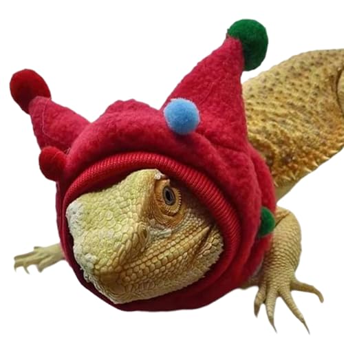 AZIDWERYQ Bärtige Drachenkleidung, kleine Tiere Halloween-Kleidung mit Pom-Pomen für Reptilien-Cosplay-Outfits, rot AZIDWERYQ Bärtige Drachenkleidung, kleine Tiere Halloween-Kleidung mit Pom-Pomen für Reptilien-Cosplay-Outfits, rot von AZIDWERYQ