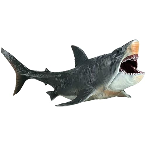 AZIDWERYQ Megalodon - Spielzeug 10.63x5.51x3.94 - Bewegbare Mund - Megalodon Hai - Spielzeug - realistische Plastik - Ozean Tierhai Figur - Geschenke für Kinder und Erwachsene - Hai Sp AZIDWERYQ Megalodon - Spielzeug 10.63x5.51x3.94 - Bewegbare Mund - Megalodon Hai - Spielzeug - realistische Plastik - Ozean Tierhai Figur - Geschenke für Kinder und Erwachsene - Hai Sp von AZIDWERYQ