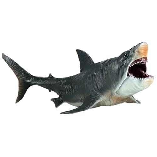 Megalodon Toys 10.63x5.51x3.94 Bewegbare Mund Megalodon Hai Spielzeug große Simulation Meer Kreatur Spielzeug Realistische Kunststoff Ozeiere Tierhai Figur Geschenke für Kinder und Erwachsene Megalodon Toys 10.63x5.51x3.94 Bewegbare Mund Megalodon Hai Spielzeug große Simulation Meer Kreatur Spielzeug Realistische Kunststoff Ozeiere Tierhai Figur Geschenke für Kinder und Erwachsene von AZIDWERYQ