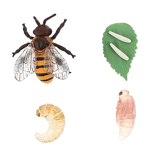 1 Set Honigzyklus-Modelle, pädagogischer Bienenwachstumszyklus für kognitives Spielen, realistische Figuren für frühes Lernen und Vorstellungskraft 1 Set Honigzyklus-Modelle, pädagogischer Bienenwachstumszyklus für kognitives Spielen, realistische Figuren für frühes Lernen und Vorstellungskraft von Abaodam