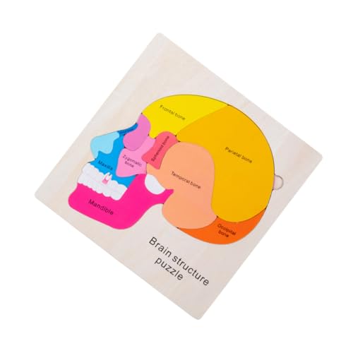 Abaodam Pädagogisches Denksport-Puzzle-Set Gehirnstruktur-Modell Spielzeug Für Kinder von Abaodam