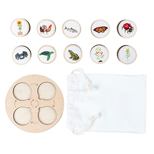 Abaodam Realistische Lebenszyklus-Figuren Kognitives Spielzeug Für Kinder – Holztierspielzeug Wachstumszyklus-Spielzeug Holzspielzeug Für Jungen Und Mädchen Abaodam Realistische Lebenszyklus-Figuren Kognitives Spielzeug Für Kinder – Holztierspielzeug Wachstumszyklus-Spielzeug Holzspielzeug Für Jungen Und Mädchen von Abaodam