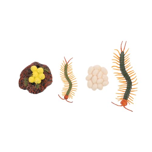 Abaodam Pädagogisches Insekten-lebenszyklus-Spielzeug Wachstumszyklus-modellfiguren Für Jungen Und Mädchen Lernspiel von Abaodam