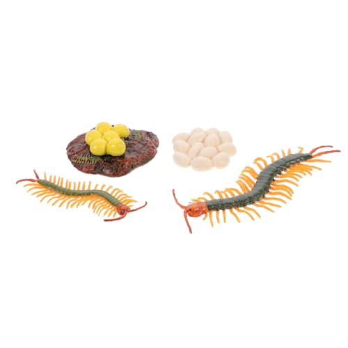 Abaodam 1 Satz Modell des Wachstumszyklus Tierlebenszyklus-Figur Tausendfüßler-lebenszyklusmodell Tausendfüßler-lebenszyklus-Figur Früherziehung Prop Lehrstütze Plastik Abaodam 1 Satz Modell des Wachstumszyklus Tierlebenszyklus-Figur Tausendfüßler-lebenszyklusmodell Tausendfüßler-lebenszyklus-Figur Früherziehung Prop Lehrstütze Plastik von Abaodam