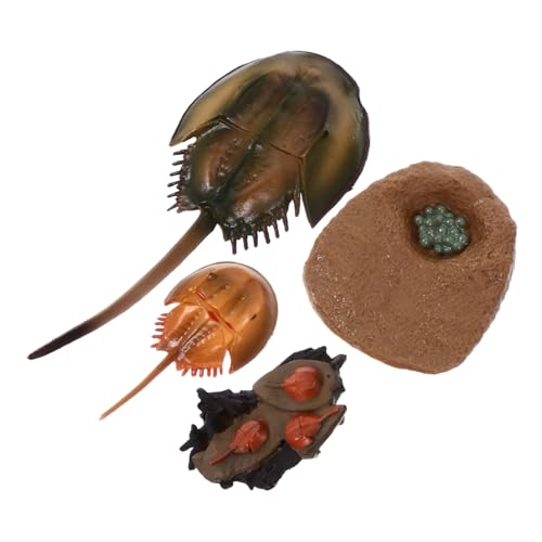 Abaodam 1 Satz Wachstumszyklus Desktop- kognitives Lernen bastelset basteln für kinderspielzeug Meeresorganismus-Modell Mini Meerestier Plastik Abaodam 1 Satz Wachstumszyklus Desktop- kognitives Lernen bastelset basteln für kinderspielzeug Meeresorganismus-Modell Mini Meerestier Plastik von Abaodam