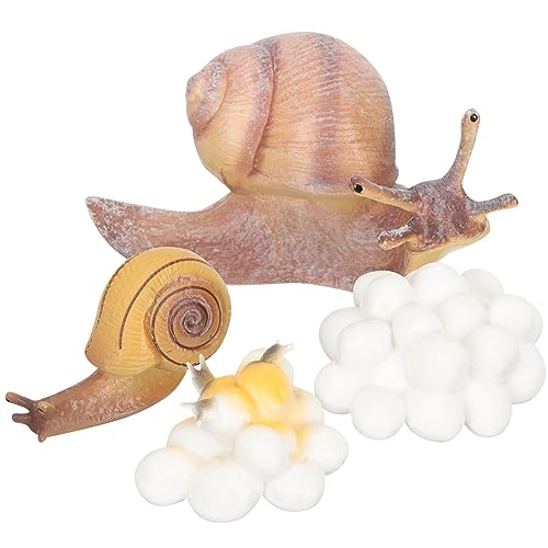 Abaodam 1 Satz Wachstumszyklus der Schnecke Abbildung des Tierlebenszyklus Abbildung des Tierwachstumszyklus Tierfiguren Lernspielzeug für Tierzyklusmodell für Harz Abaodam 1 Satz Wachstumszyklus der Schnecke Abbildung des Tierlebenszyklus Abbildung des Tierwachstumszyklus Tierfiguren Lernspielzeug für Tierzyklusmodell für Harz von Abaodam
