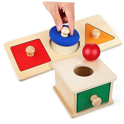 Abaodam 1 Set Box Montessori Unterricht Sensorisches Spielzeug Set Sensorisches Spielzeug Für Kinder Pädagogisches Spielzeug Für Kinder Ball Drop Spielzeug Für Kinder Kognitives von Abaodam