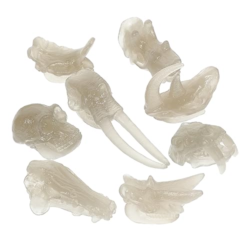 Abaodam 1 Set Dinosaurierknochenspielzeug Fossilienknochen Kinderspielzeug Desktop Leuchtender Dinosaurierschädel Kinderfossilspielzeug Dinosaurierknochen von Abaodam