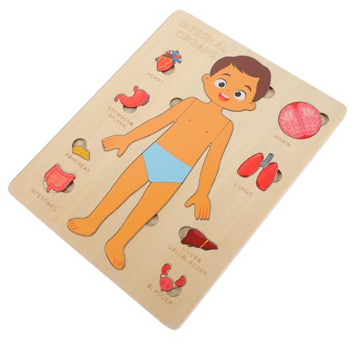 Abaodam 1 Set Menschliche Körperstruktur Puzzle Puzzles Werkzeuge für Früherziehung Lehrwerkzeug Anatomie Organe Modell Schule Pädagogisches Werkzeug Körperorgane Kognitives Werkzeug Holz Abaodam 1 Set Menschliche Körperstruktur Puzzle Puzzles Werkzeuge für Früherziehung Lehrwerkzeug Anatomie Organe Modell Schule Pädagogisches Werkzeug Körperorgane Kognitives Werkzeug Holz von Abaodam