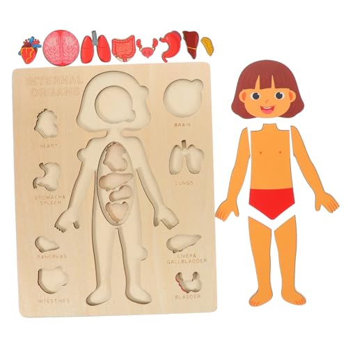 Abaodam 1 Set Puzzle Zur Struktur des Menschlichen Körpers Kinderpuzzles Kinderwerkzeuge Kinderpuzzles Werkzeuge Für Anatomie Puzzle Puzzles Für Menschliche Körperorgane Anatomie Abaodam 1 Set Puzzle Zur Struktur des Menschlichen Körpers Kinderpuzzles Kinderwerkzeuge Kinderpuzzles Werkzeuge Für Anatomie Puzzle Puzzles Für Menschliche Körperorgane Anatomie von Abaodam