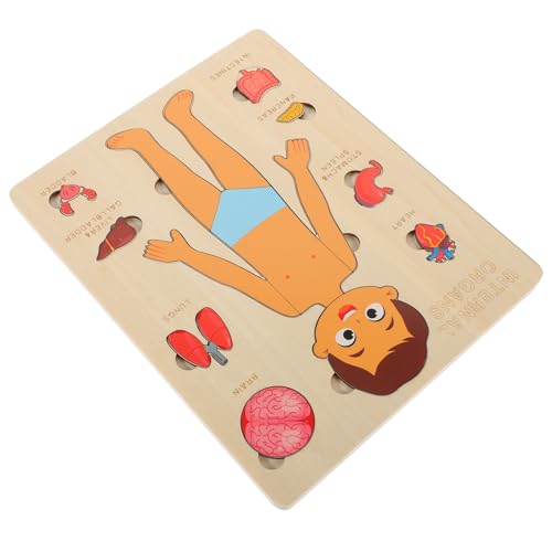 Abaodam 1 Set Puzzle Zur Struktur des Menschlichen Körpers Kinderspielzeug Kinderwerkzeuge Puzzles Werkzeuge Für Puzzle Mit Menschlichen Organen Lernspielzeug Schullernwerkzeug von Abaodam