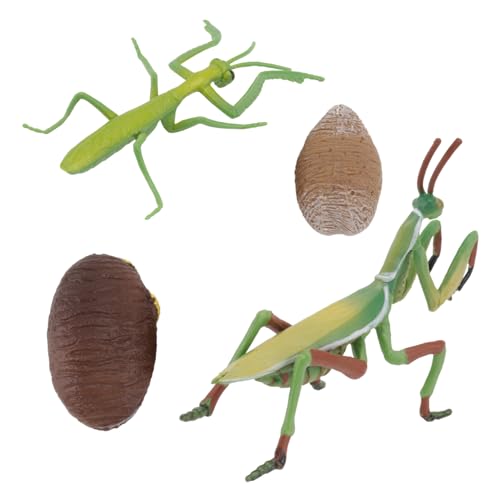 Abaodam 1 Set Wachstumszyklus Lernspielzeug Lernspielzeug Kinderspielzeug Simuliertes Tiermodell Tiere Figur Mantis Modell Tierfigur PVC von Abaodam