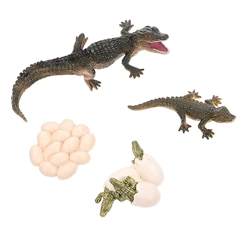 Abaodam 1 Set Wachstumszyklus Modell Die Tiermodelle Tiere Kinderspielzeug Krokodil Lebenszyklus Figur Krokodil Wachstumsmodell Krokodil Wachstumszyklus Figur Lebenszyklus Figur Aus Abaodam 1 Set Wachstumszyklus Modell Die Tiermodelle Tiere Kinderspielzeug Krokodil Lebenszyklus Figur Krokodil Wachstumsmodell Krokodil Wachstumszyklus Figur Lebenszyklus Figur Aus von Abaodam