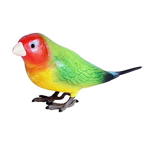 Abaodam 1 Stück Papagei Modell Vogelmodell Schmuck Modell Einer Papageienfigur Vögel basteln Kunsthandwerk Desktop-Dekoration simuliertes Papageienspielzeug Plastik Bunt Abaodam 1 Stück Papagei Modell Vogelmodell Schmuck Modell Einer Papageienfigur Vögel basteln Kunsthandwerk Desktop-Dekoration simuliertes Papageienspielzeug Plastik Bunt von Abaodam