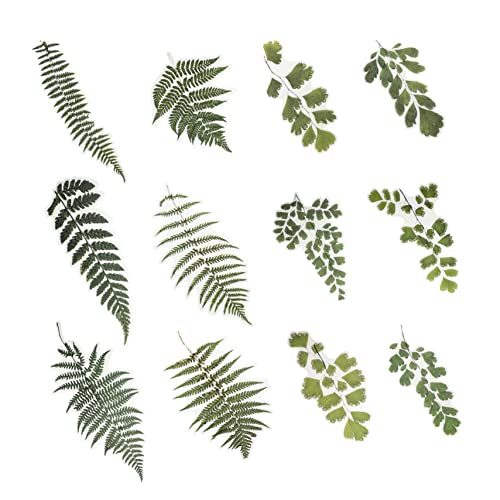 Abaodam 12 Blätter Aufkleber Tagebuch Etiketten Scrapbooking-Etiketten Green Das Haustier Abaodam 12 Blätter Aufkleber Tagebuch Etiketten Scrapbooking-Etiketten Green Das Haustier von Abaodam