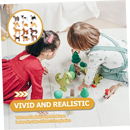 Abaodam 12 Stück Teiliges Mini Hundemodell aus Robustem Material Realistische Kleine Hundefiguren als Kognitive Lernspielzeuge und Dekorative Ornamente für Kinderzimmer und Garten von Abaodam