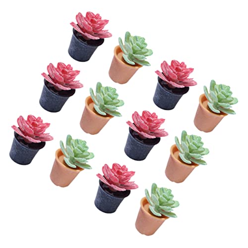 Abaodam 12 Stück Teiliges Miniatur Pflanzen Kunststoffpflanzen Puppenhaus Zubehör Realistische Bonsai Modelle für DIY Dekoration Blumen Topfpflanzen Künstlich Langlebig Abaodam 12 Stück Teiliges Miniatur Pflanzen Kunststoffpflanzen Puppenhaus Zubehör Realistische Bonsai Modelle für DIY Dekoration Blumen Topfpflanzen Künstlich Langlebig von Abaodam