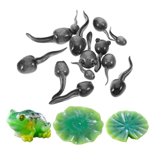 Abaodam 16stücke Teiliges Mini-Frosch Niedliche Deko-Figuren Für Terrarien Und Mooslandschaften -zubehör Für Kreative Gartenprojekte Und Feengärten Abaodam 16stücke Teiliges Mini-Frosch Niedliche Deko-Figuren Für Terrarien Und Mooslandschaften -zubehör Für Kreative Gartenprojekte Und Feengärten von Abaodam