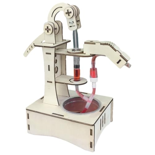 Abaodam 1Satz DIY Wasserpumpen Experiment Pädagogisches Handwerksspielzeug für Wissenschaftliche Bildung Problemlösungsfähigkeiten Physikspielzeug für Kreatives Lernen und Experimente Abaodam 1Satz DIY Wasserpumpen Experiment Pädagogisches Handwerksspielzeug für Wissenschaftliche Bildung Problemlösungsfähigkeiten Physikspielzeug für Kreatives Lernen und Experimente von Abaodam
