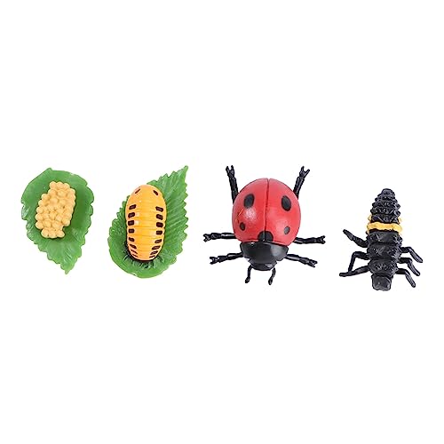Abaodam 1Satz Insekten Wachstumszyklus Modellspielzeug für Teiliges Party Dekorationsspielzeug für Kreative Naturwissenschaften und Lernspiel für Vorschulkinder und Schulprojekte Abaodam 1Satz Insekten Wachstumszyklus Modellspielzeug für Teiliges Party Dekorationsspielzeug für Kreative Naturwissenschaften und Lernspiel für Vorschulkinder und Schulprojekte von Abaodam