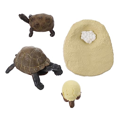 Abaodam 1Satz Simulation Schildkröte Lebenszyklus Modell Pädagogisches zur des Wissens über Schildkrötenwachstum Realistische Figuren für Geschenkidee für Kreative von Abaodam